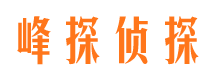 维扬市侦探调查公司